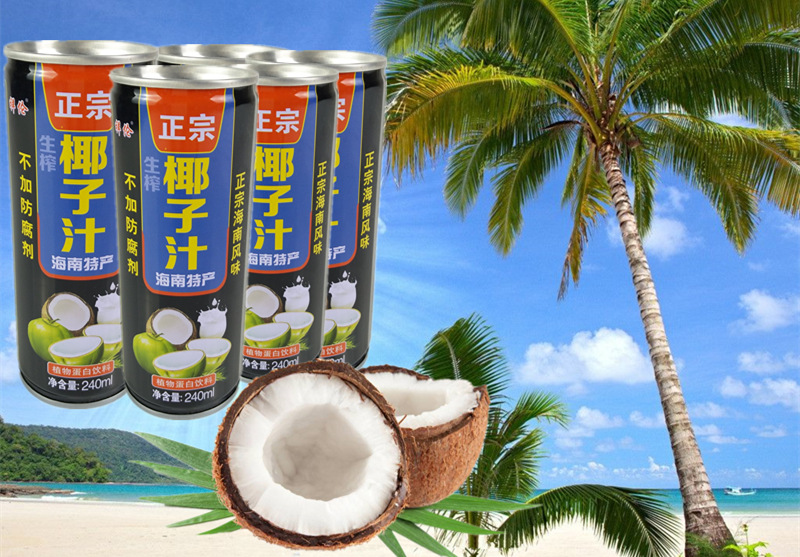 椰子汁整箱易拉罐装245ml24罐海南特发生