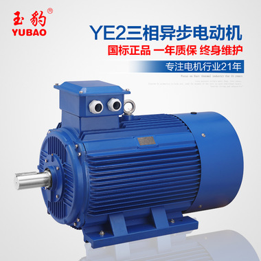 供应商供应YE2-160M1-2极11KW三相异步电动