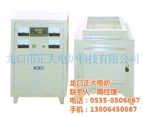 箱式电阻炉直销、【密山  箱式电阻炉】、龙口正大电炉