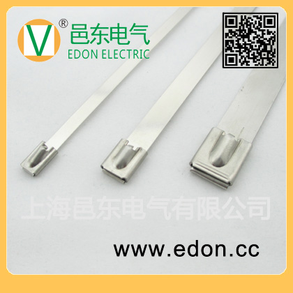 12.0mm宽恣意长度自锁式304/316白钢喷塑包