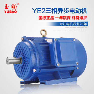 供应商供应YE2-10极132KW千瓦三相异步电动机3