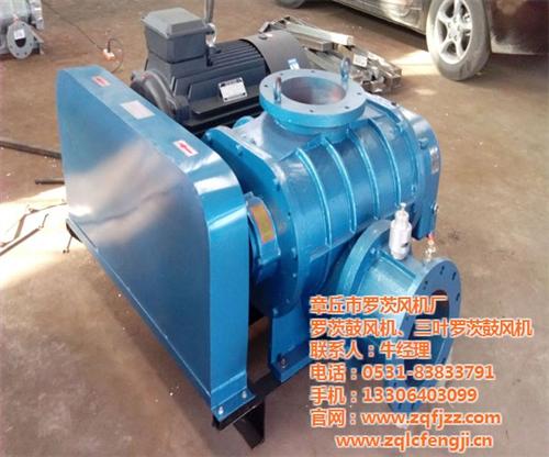 安徽罗茨鼓风机_罗茨风机(图)_维修罗茨鼓风机