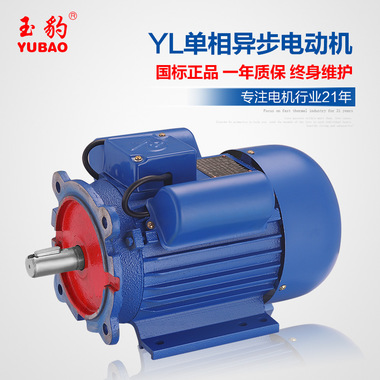 供应商供应YL-0.55KW-4KW-4极单相异步电动