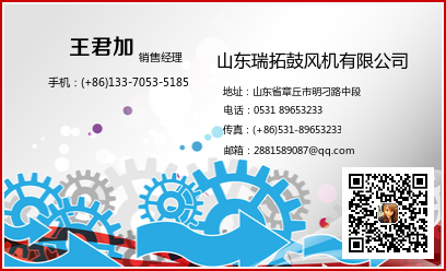 山东瑞拓氧化锌鼓风机