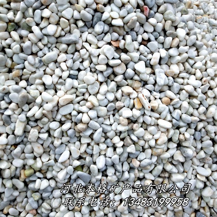 本格供应商直销天然鹅卵石  水洗鹅卵石  园林铺路用鹅