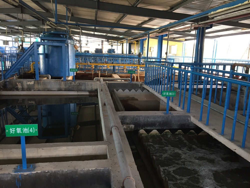 电镀曝气 一体化水处理 印刷用三叶罗茨鼓风机