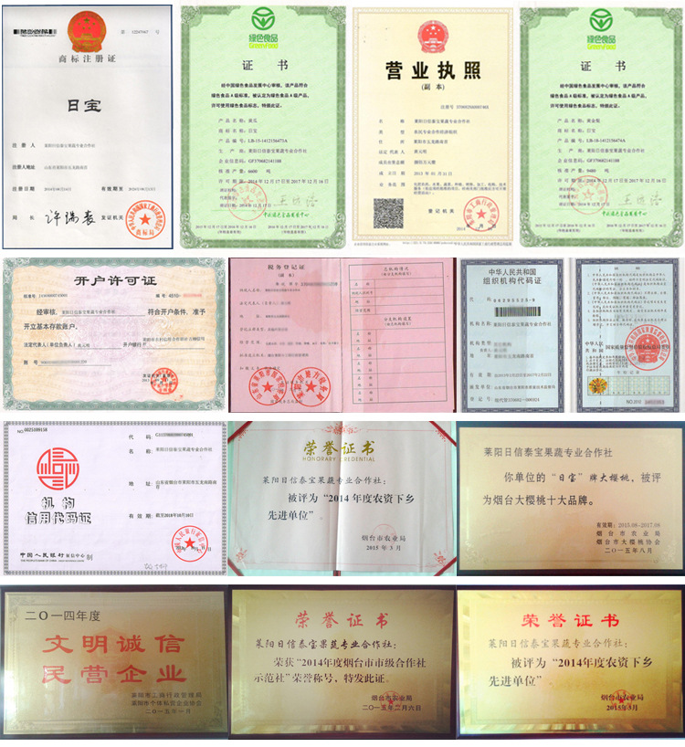 通用10