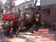陕西大型铜牛动物雕塑|恒保发雕塑(图)|大型铜牛动物