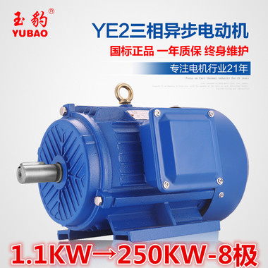 供应商供应YE2-8极1.1-250KW千瓦8P三相异