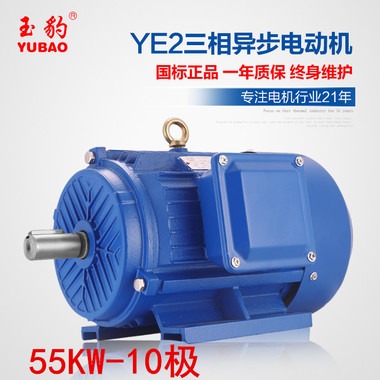 供应商供应YE2-10极55KW千瓦三相异步电动机38
