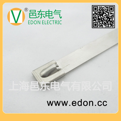 12.0mm宽恣意长度自锁式304/316白钢喷塑包