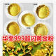 直销华奎牌999特闪黄金粉佛像仿24K金色金粉亮光金