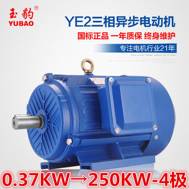 供应商供应YE2-4极0.37-250KW三相异步电动