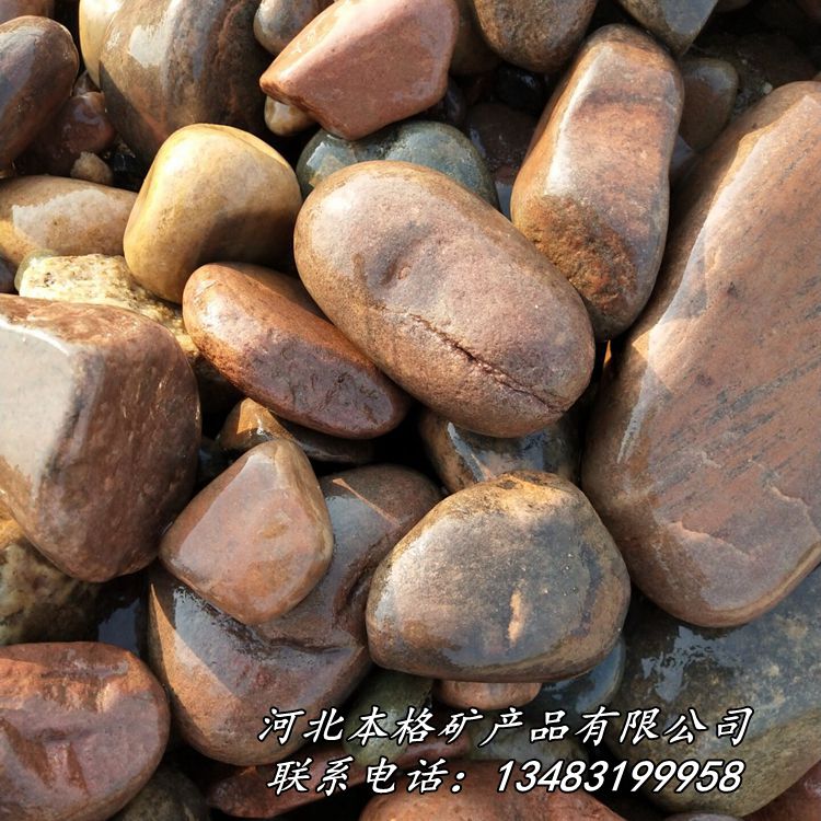 本格供应商直销天然鹅卵石  水洗鹅卵石  园林铺路用鹅