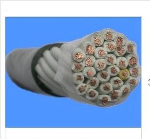 永通牌中策电线 杭州电缆厂 BV6MM(100米)