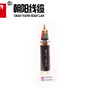 向阳牌电线电缆YJV22 3x1.5平方带铠电缆质