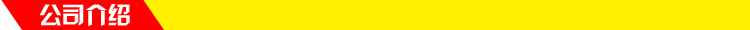 公司介绍