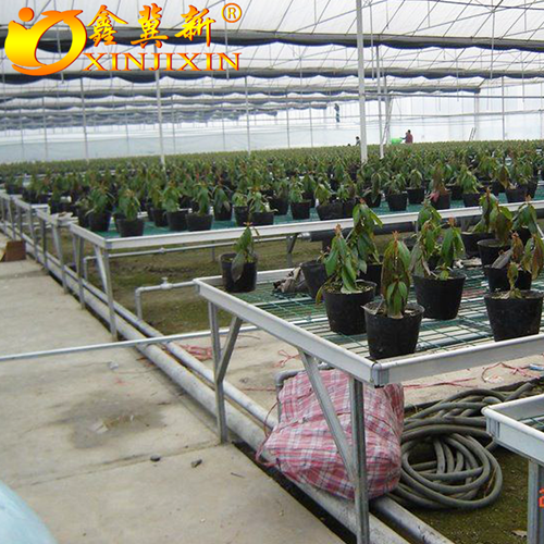 双金属压铸铝散热器大水道壁挂式散热器高压蒸汽暖气片