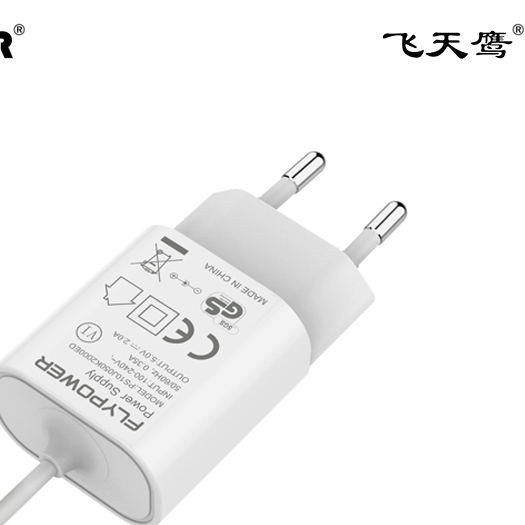 飞天鹰小家电电源适配器供应商PS06H不带线是非可选