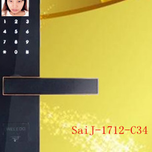 1712-C34掌静脉人脸密码锁