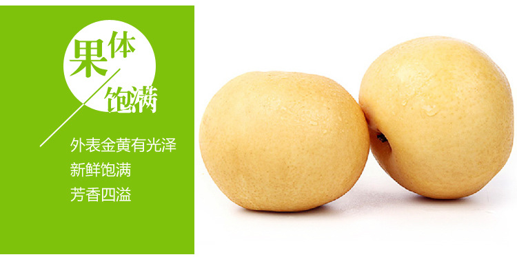 黄金梨_13