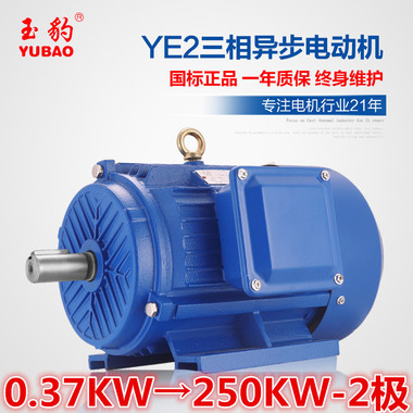 供应商供应YE2-2极0.37-250KW三相异步电动