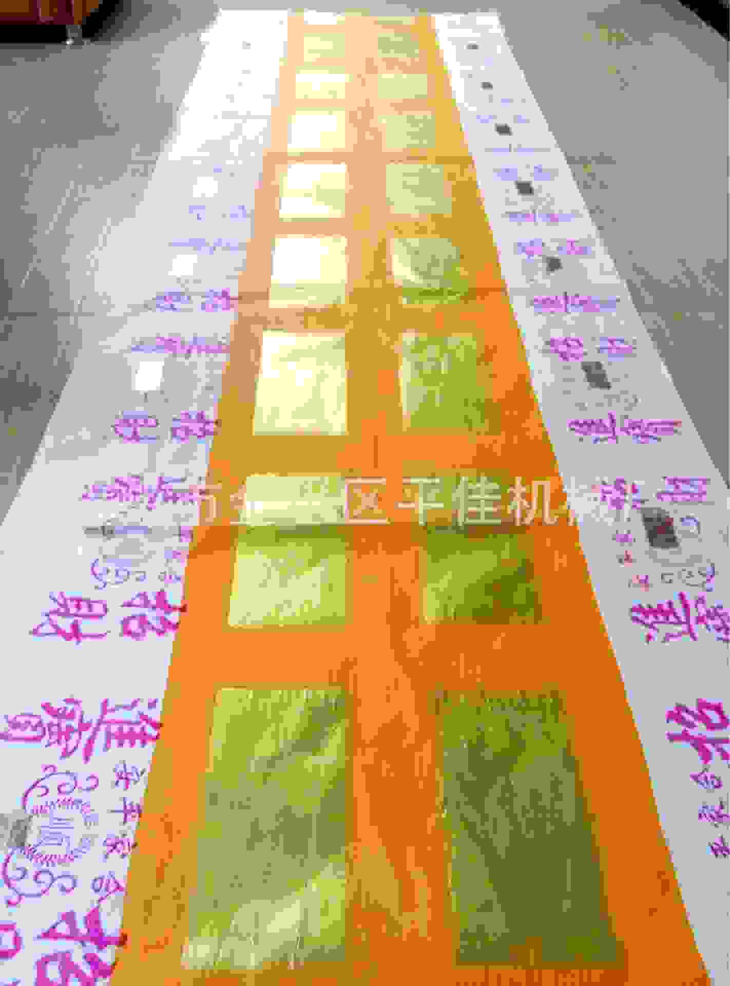 P50409-091206