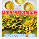 铁艺铝艺喷涂用进口黄金粉 耐候性好佛像999超闪黄金