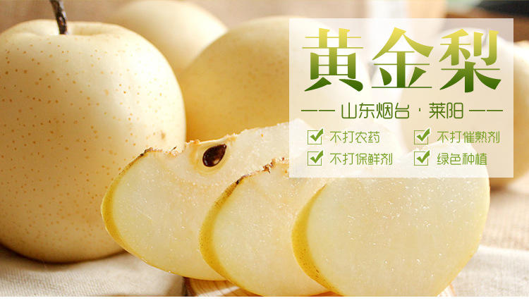 黄金梨_01